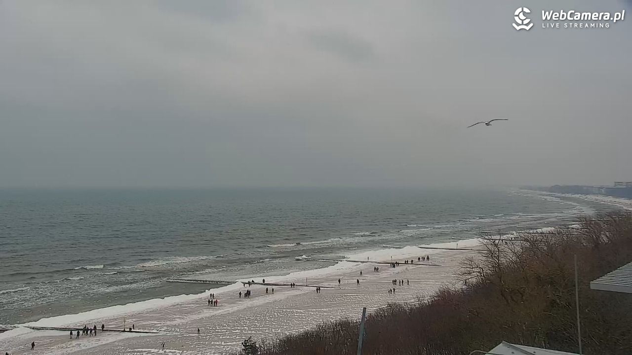 Kołobrzeg - widok na molo - 08 luty 2026, 13:09
