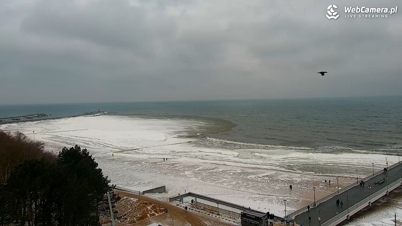 Kołobrzeg - widok na molo - 08 luty 2026, 09:56