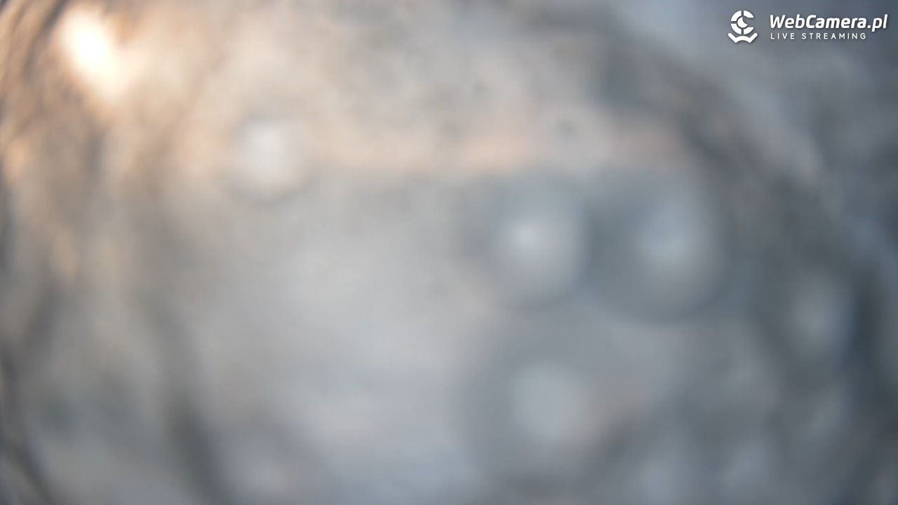 Nowa Osada-ski Wisła - 25 grudzień 2025, 11:59