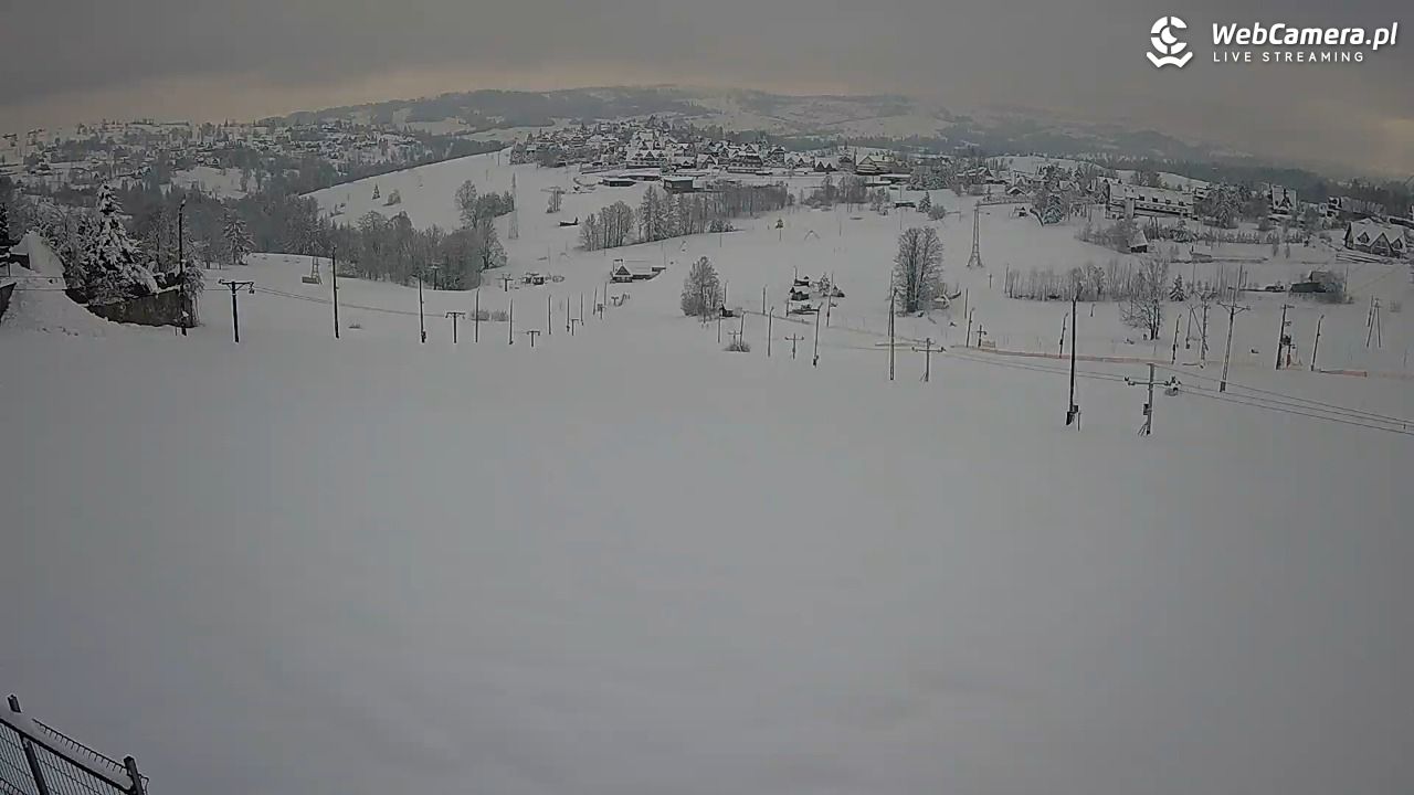 Zwyrtlik Bukowina Tatrzańska - 01 kwiecień 2026, 07:33