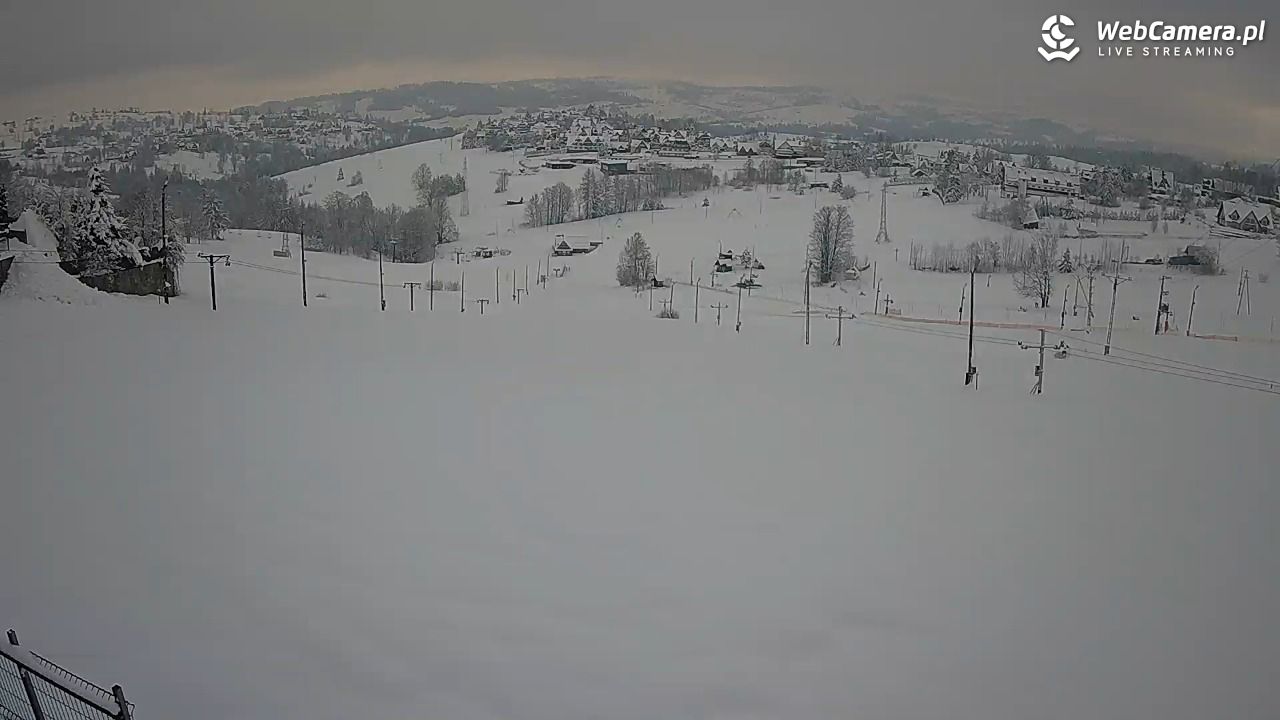 Zwyrtlik Bukowina Tatrzańska - 01 kwiecień 2026, 07:34