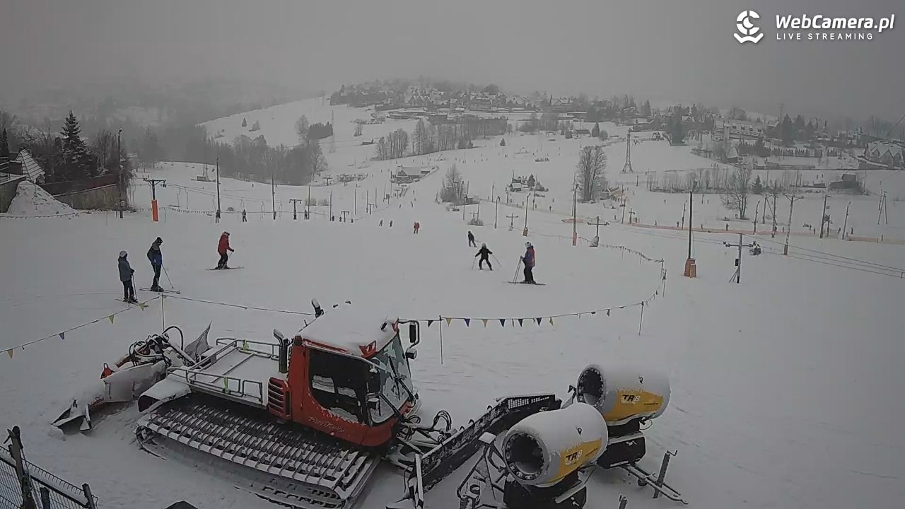 Zwyrtlik Bukowina Tatrzańska - 15 luty 2026, 12:34