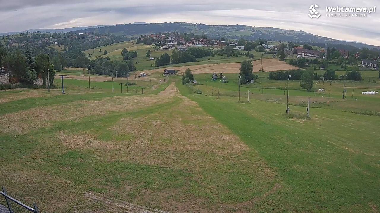 Zwyrtlik Bukowina Tatrzańska - 05 lipiec 2026, 06:23
