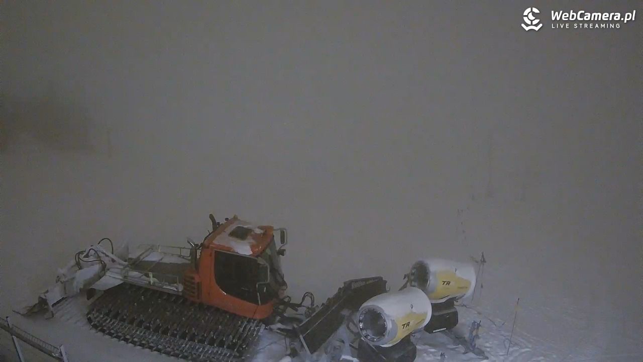 Zwyrtlik Bukowina Tatrzańska - 19 luty 2026, 22:01