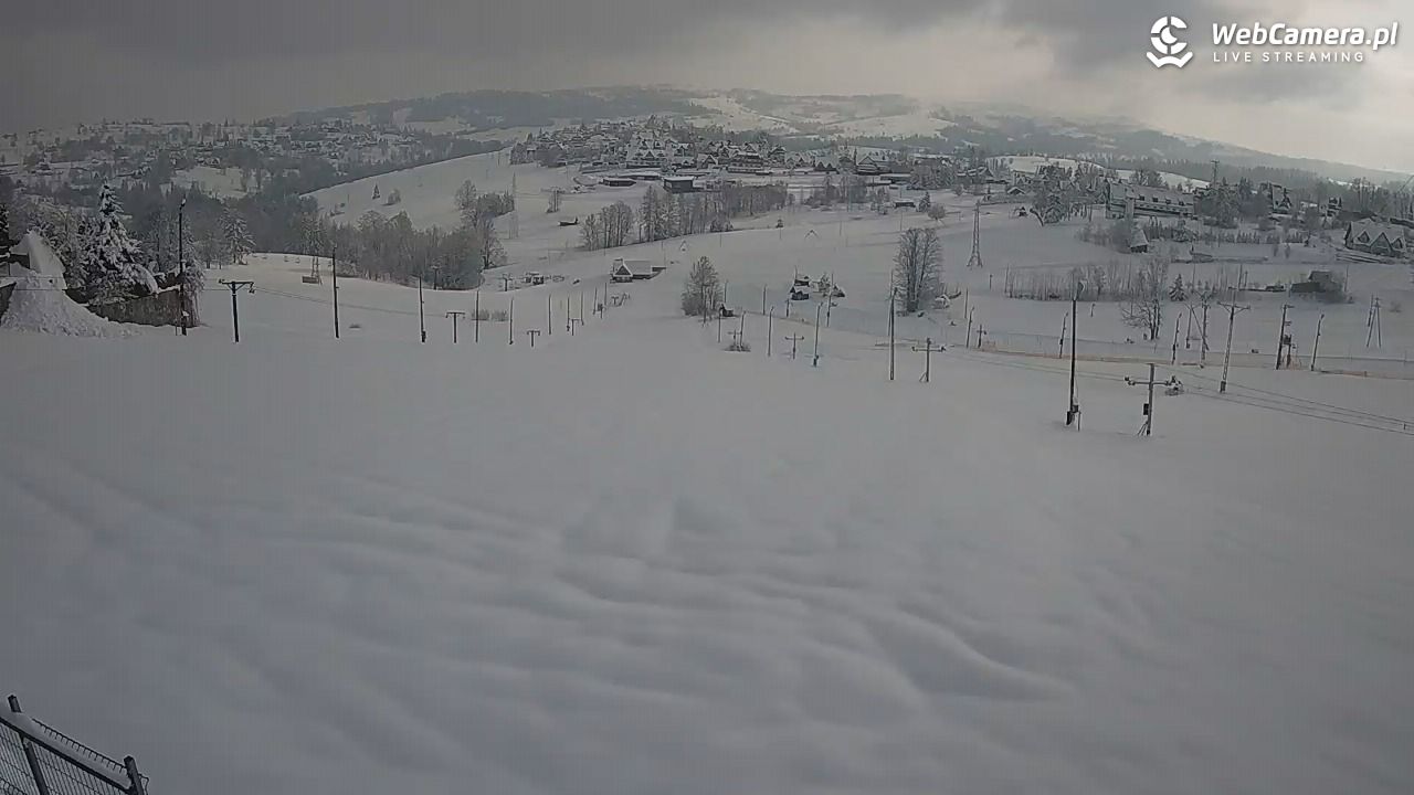 Zwyrtlik Bukowina Tatrzańska - 01 kwiecień 2026, 08:13