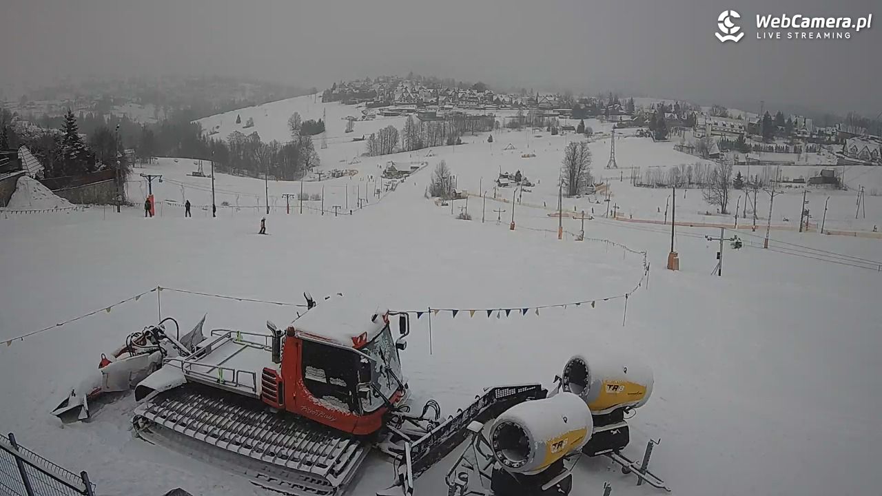 Zwyrtlik Bukowina Tatrzańska - 15 luty 2026, 15:08