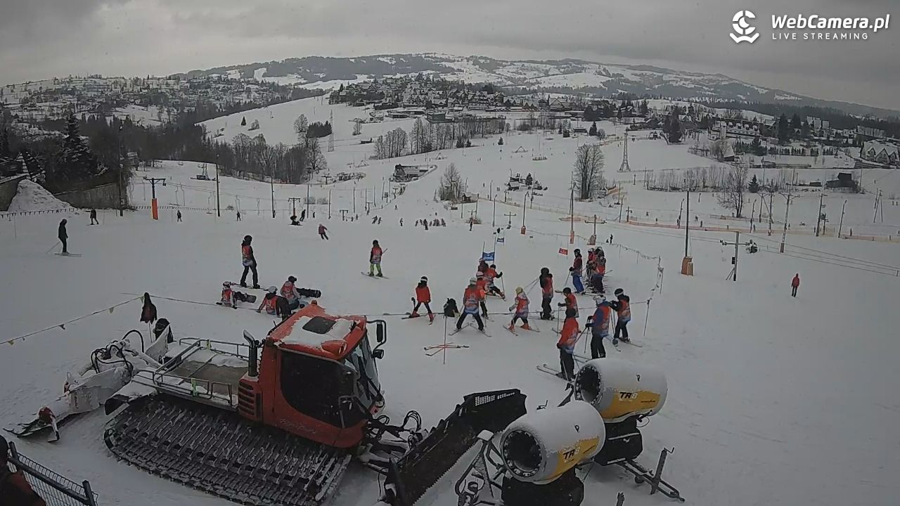 Zwyrtlik Bukowina Tatrzańska - 18 luty 2026, 10:47