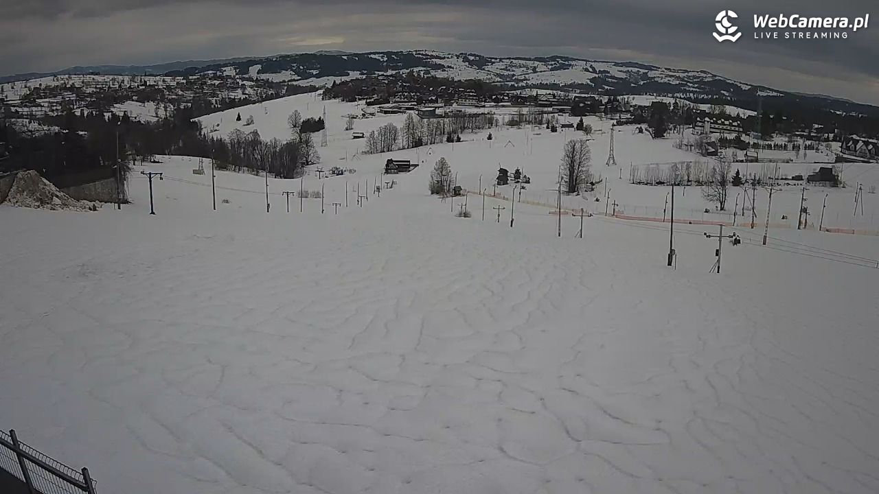 Zwyrtlik Bukowina Tatrzańska - 04 kwiecień 2026, 17:08