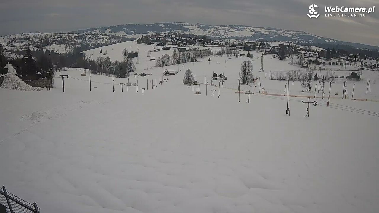 Zwyrtlik Bukowina Tatrzańska - 03 kwiecień 2026, 09:53