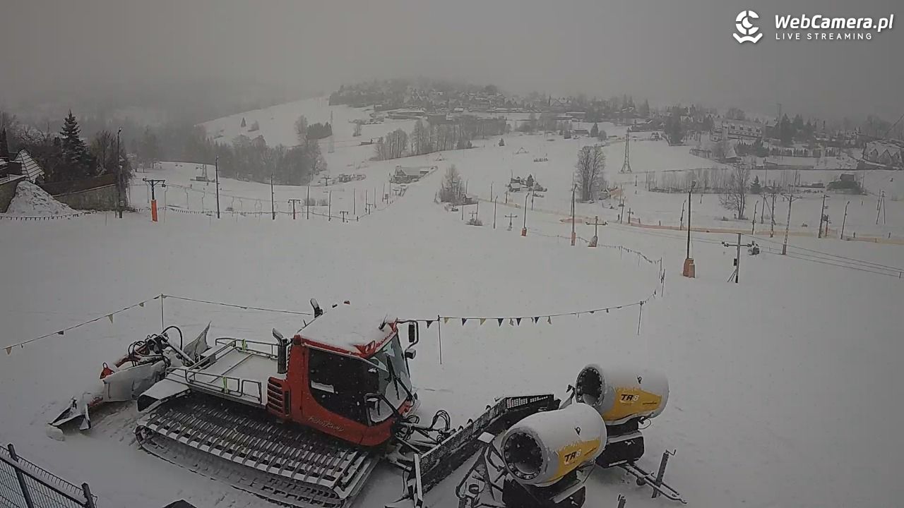 Zwyrtlik Bukowina Tatrzańska - 15 luty 2026, 09:32