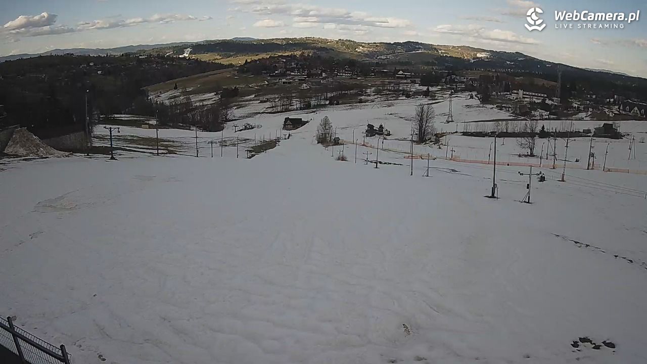 Zwyrtlik Bukowina Tatrzańska - 06 kwiecień 2026, 17:36