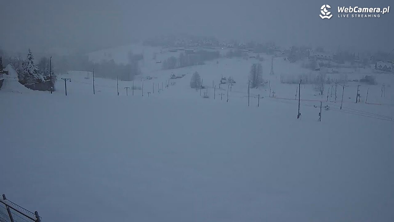 Zwyrtlik Bukowina Tatrzańska - 31 marzec 2026, 19:13