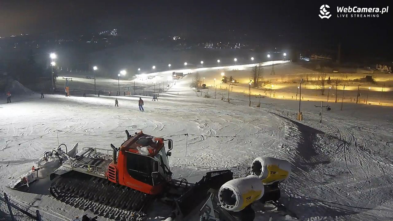 Zwyrtlik Bukowina Tatrzańska - 19 luty 2026, 17:49