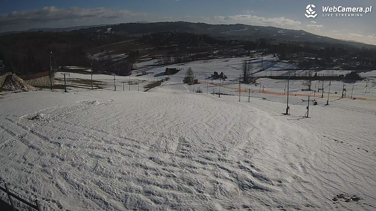 Zwyrtlik Bukowina Tatrzańska - 07 kwiecień 2026, 08:12