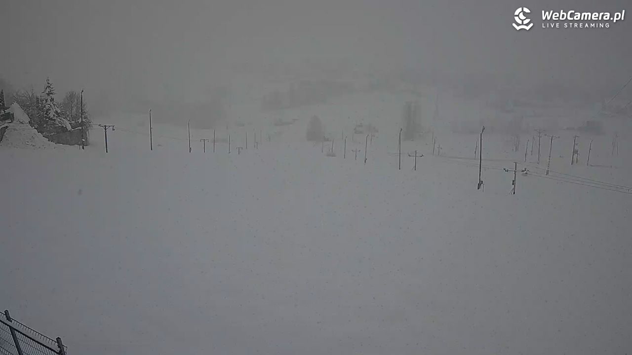 Zwyrtlik Bukowina Tatrzańska - 01 kwiecień 2026, 17:35