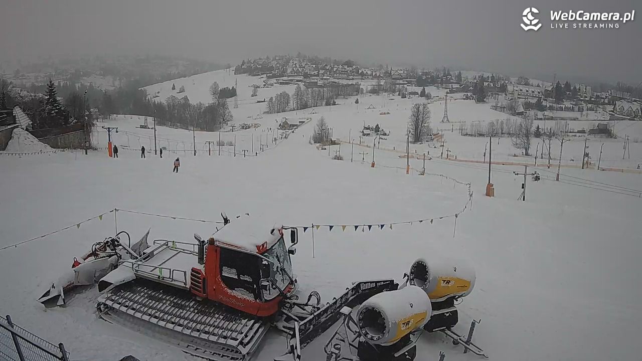 Zwyrtlik Bukowina Tatrzańska - 15 luty 2026, 15:08