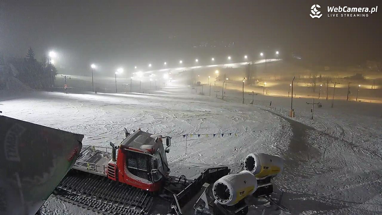 Zwyrtlik Bukowina Tatrzańska - 17 luty 2026, 18:08