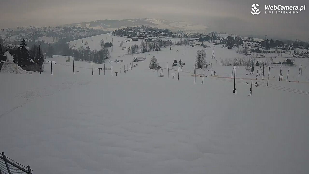 Zwyrtlik Bukowina Tatrzańska - 02 kwiecień 2026, 17:47