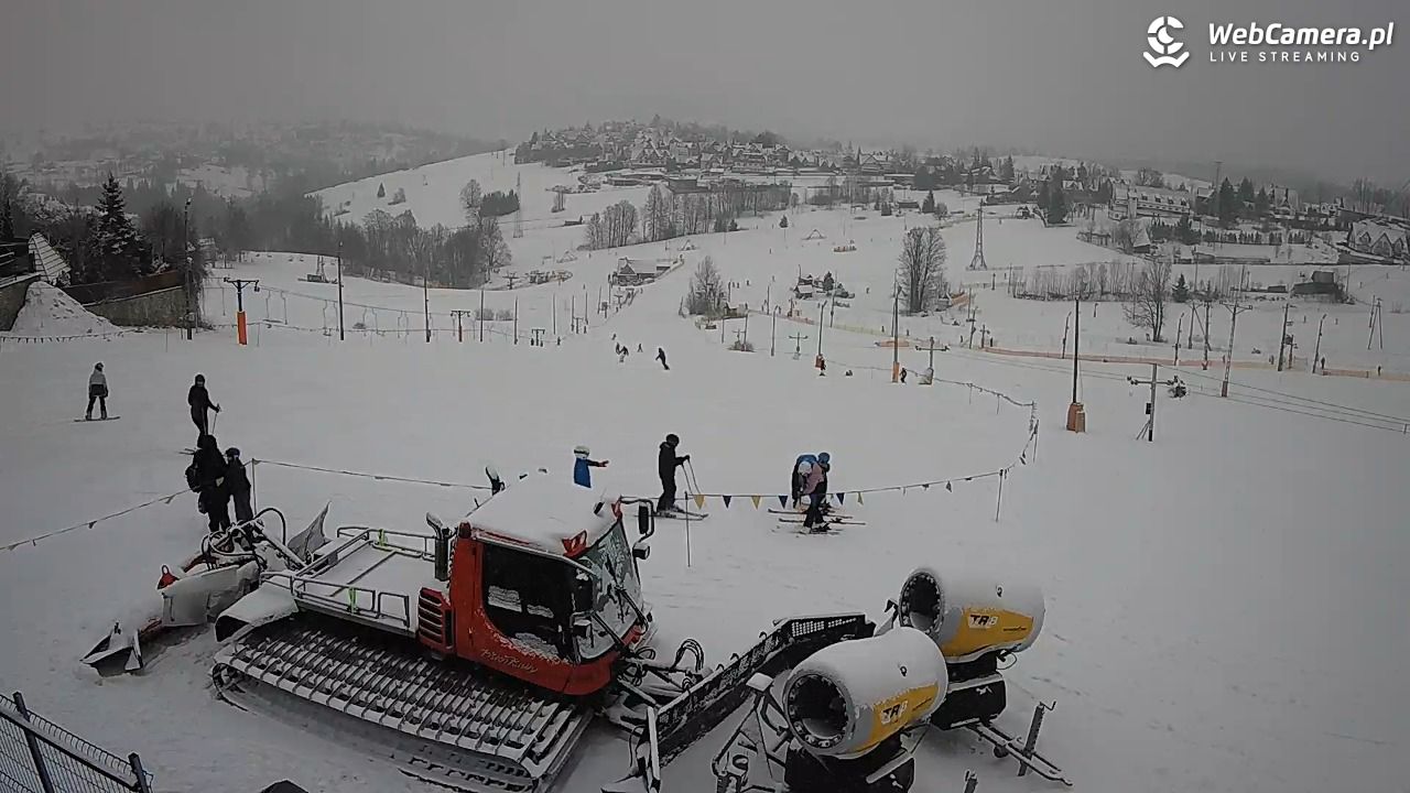 Zwyrtlik Bukowina Tatrzańska - 15 luty 2026, 14:21