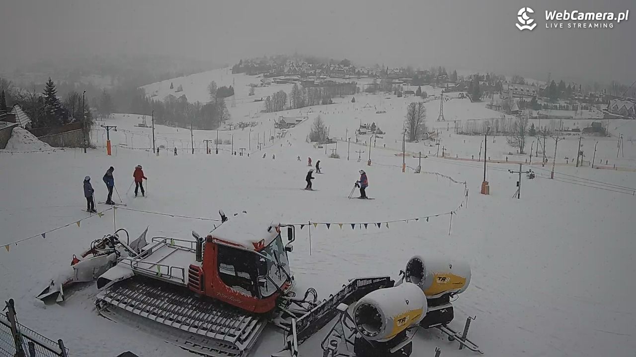 Zwyrtlik Bukowina Tatrzańska - 15 luty 2026, 12:34