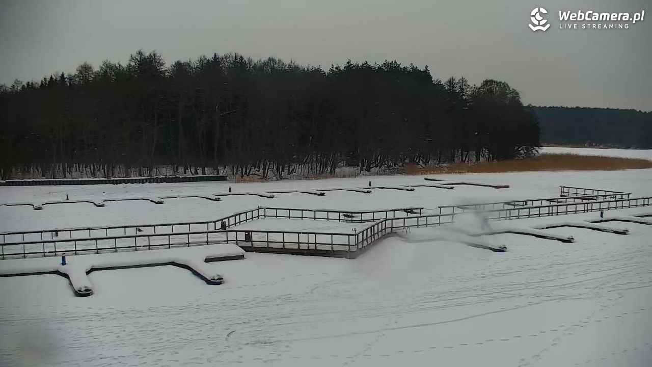 Olsztyn -  Słoneczna Polana - 05 luty 2026, 15:25