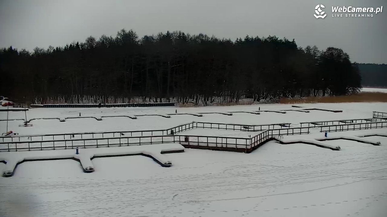 Olsztyn -  Słoneczna Polana - 05 luty 2026, 10:24