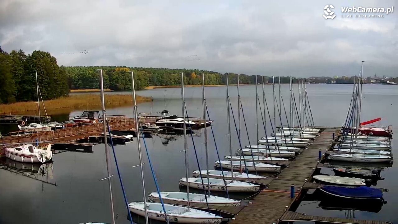Olsztyn -  Słoneczna Polana - 16 październik 2025, 12:37