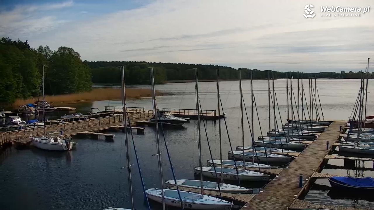 Olsztyn -  Słoneczna Polana - 17 maj 2026, 09:39