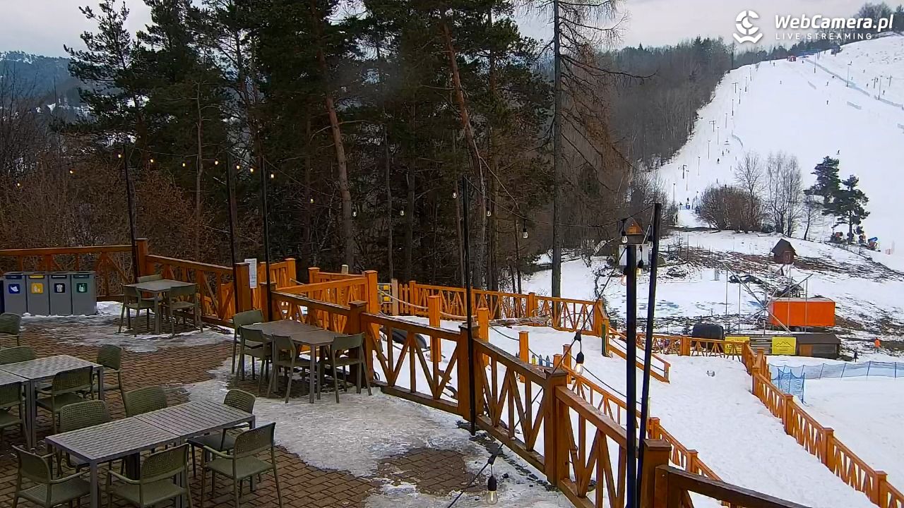 Szczawnica Palenica - 19 luty 2026, 15:02