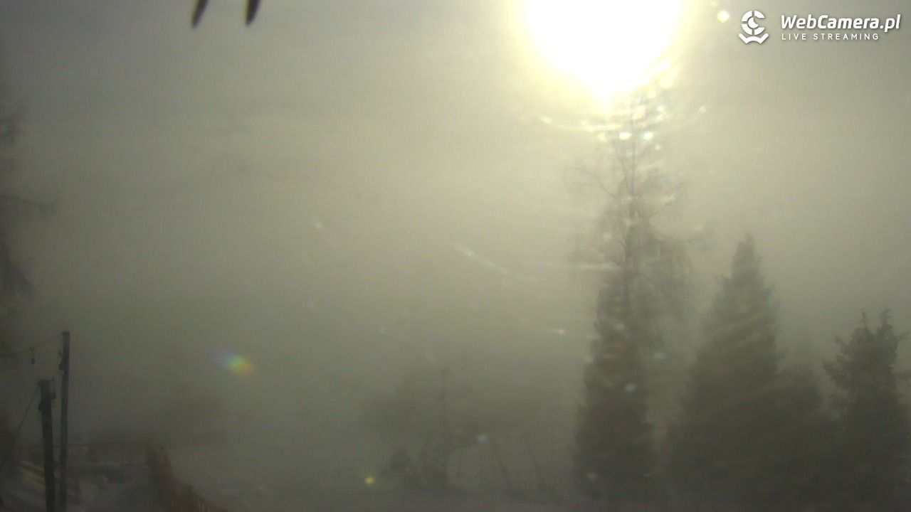 Szczawnica Palenica - 30 listopad 2025, 13:22