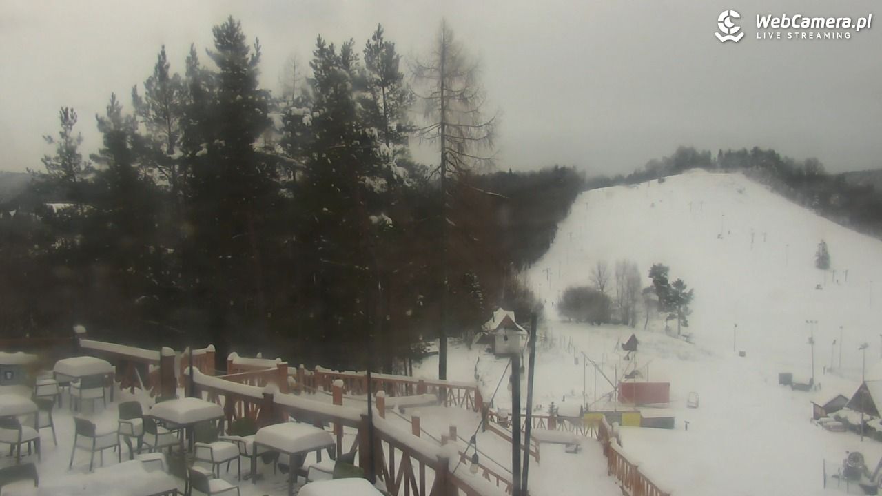 Szczawnica Palenica - 25 listopad 2025, 11:05