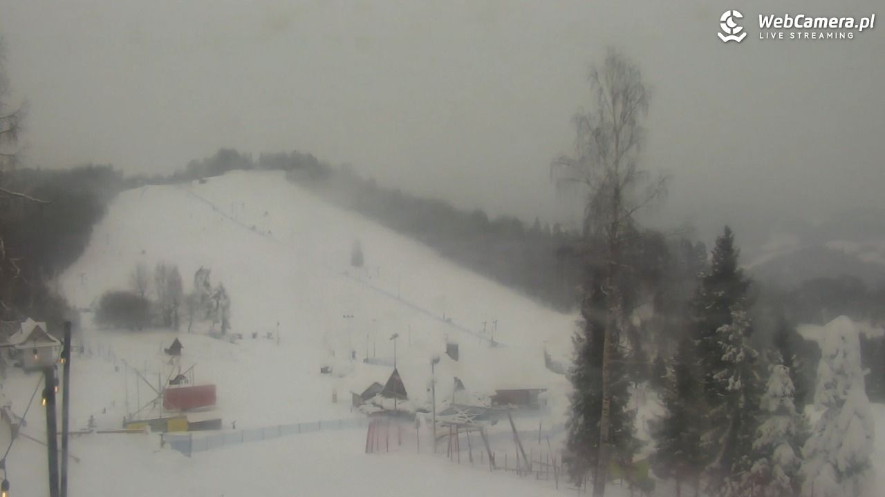 Szczawnica Palenica - 13 styczeń 2026, 12:04