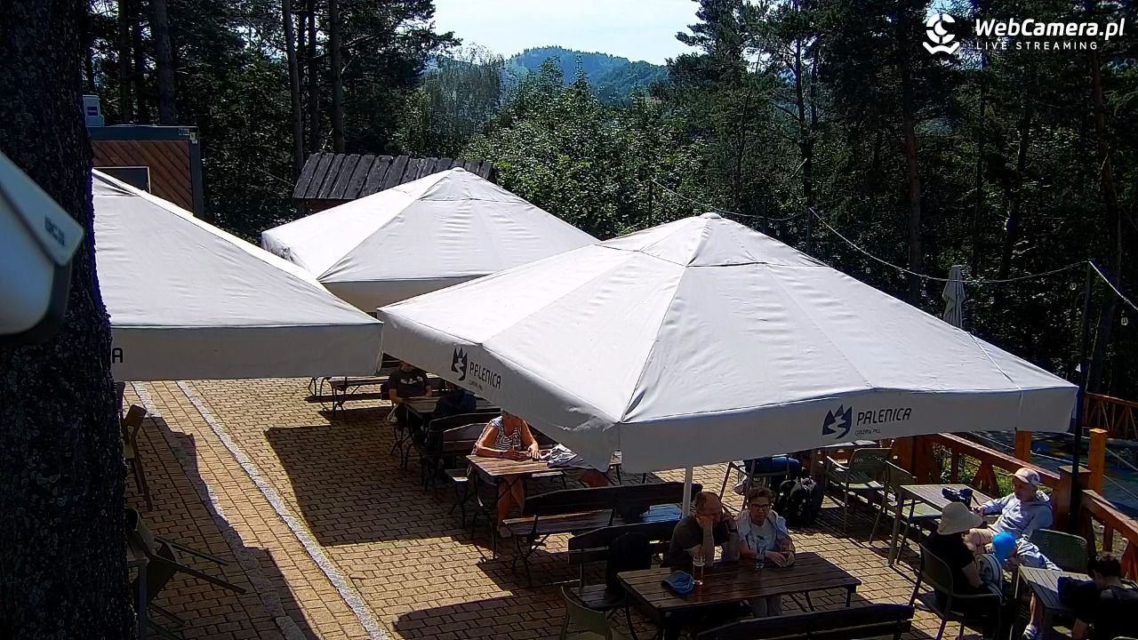 Szczawnica Palenica - 14 lipiec 2026, 10:36