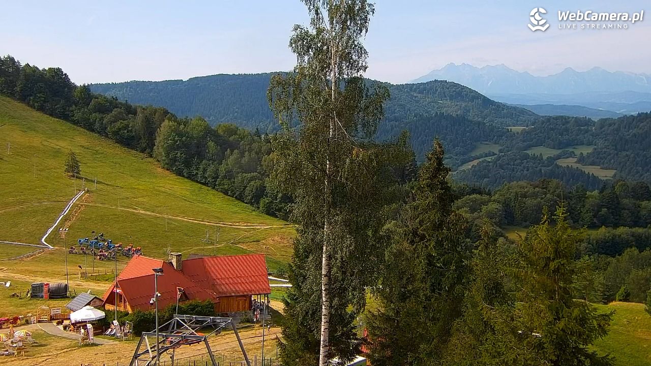 Szczawnica Palenica - 29 sierpień 2026, 09:50