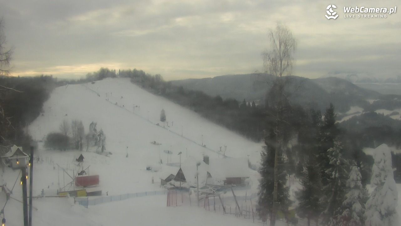 Szczawnica Palenica - 14 styczeń 2026, 09:34