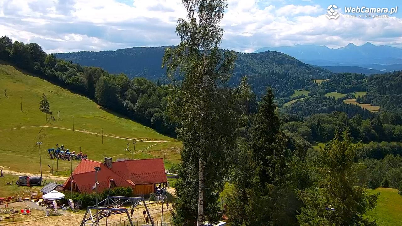 Szczawnica Palenica - 23 sierpień 2026, 12:18