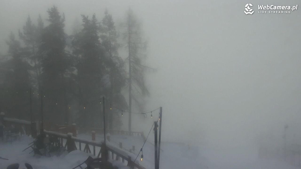 Szczawnica Palenica - 15 styczeń 2026, 09:19