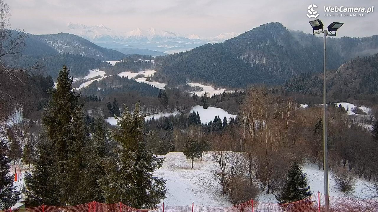 Szczawnica Palenica - 19 luty 2026, 07:42