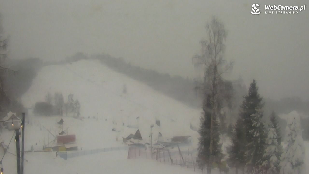 Szczawnica Palenica - 13 styczeń 2026, 10:57