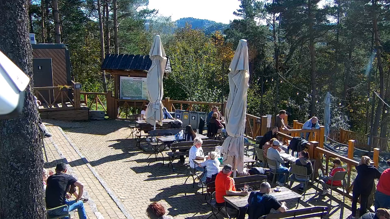 Szczawnica Palenica - 10 październik 2026, 10:11