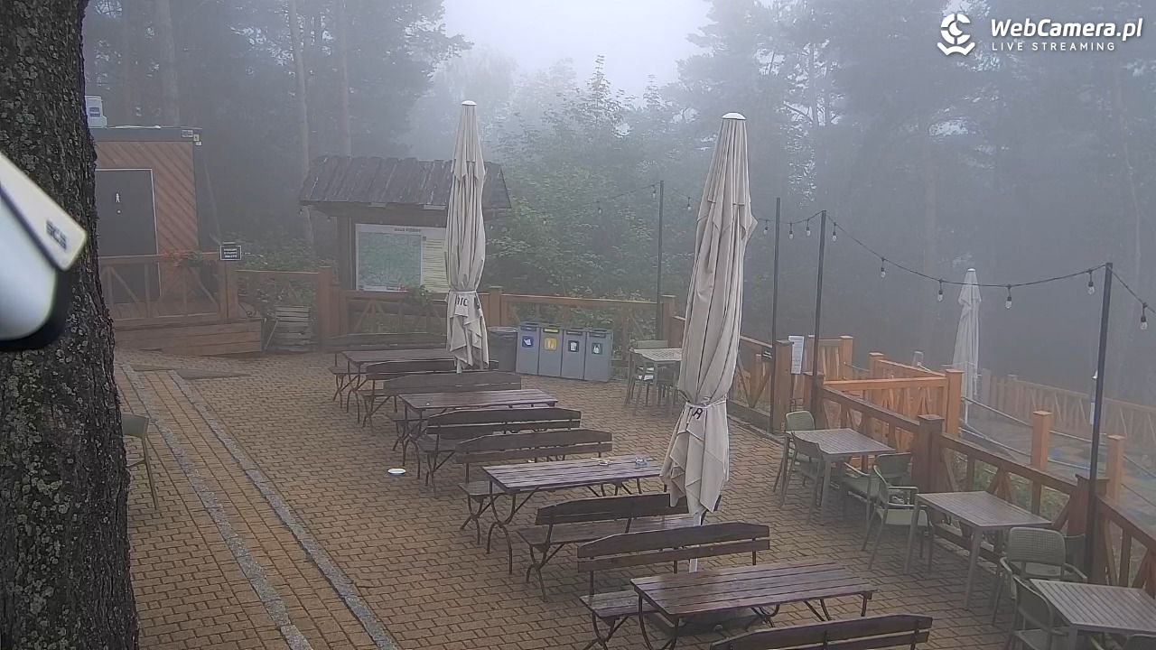 Szczawnica Palenica - 16 lipiec 2026, 08:31