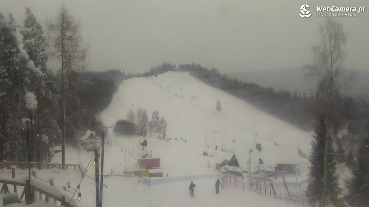 Szczawnica Palenica - 13 styczeń 2026, 11:43