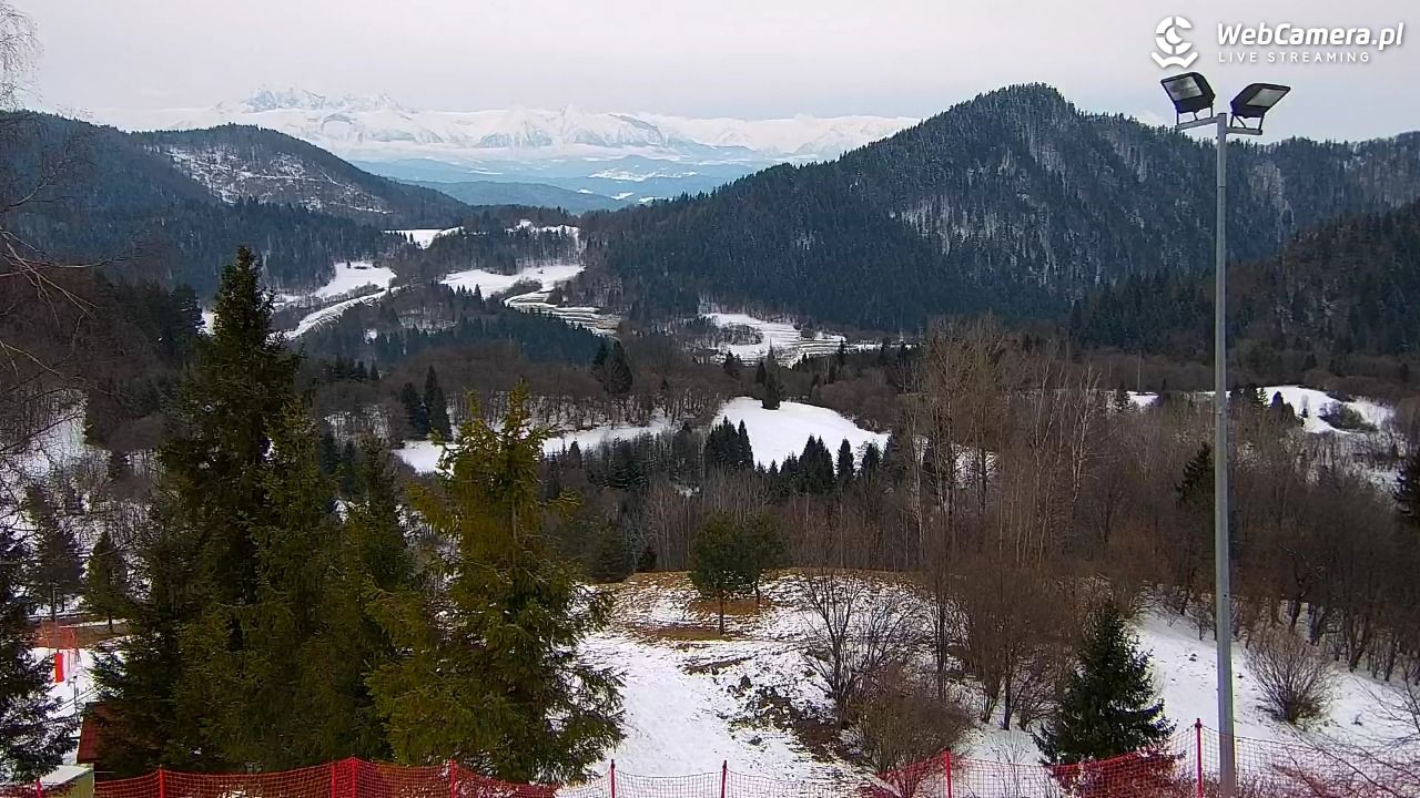 Szczawnica Palenica - 19 luty 2026, 11:44