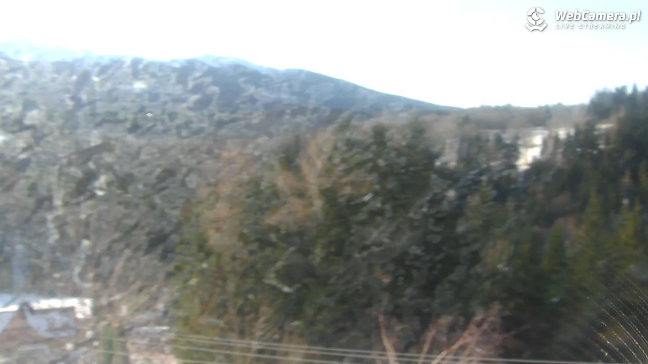 Zawoja - Mosorny Groń - Dolna Stacja - 17 styczeń 2026, 11:49