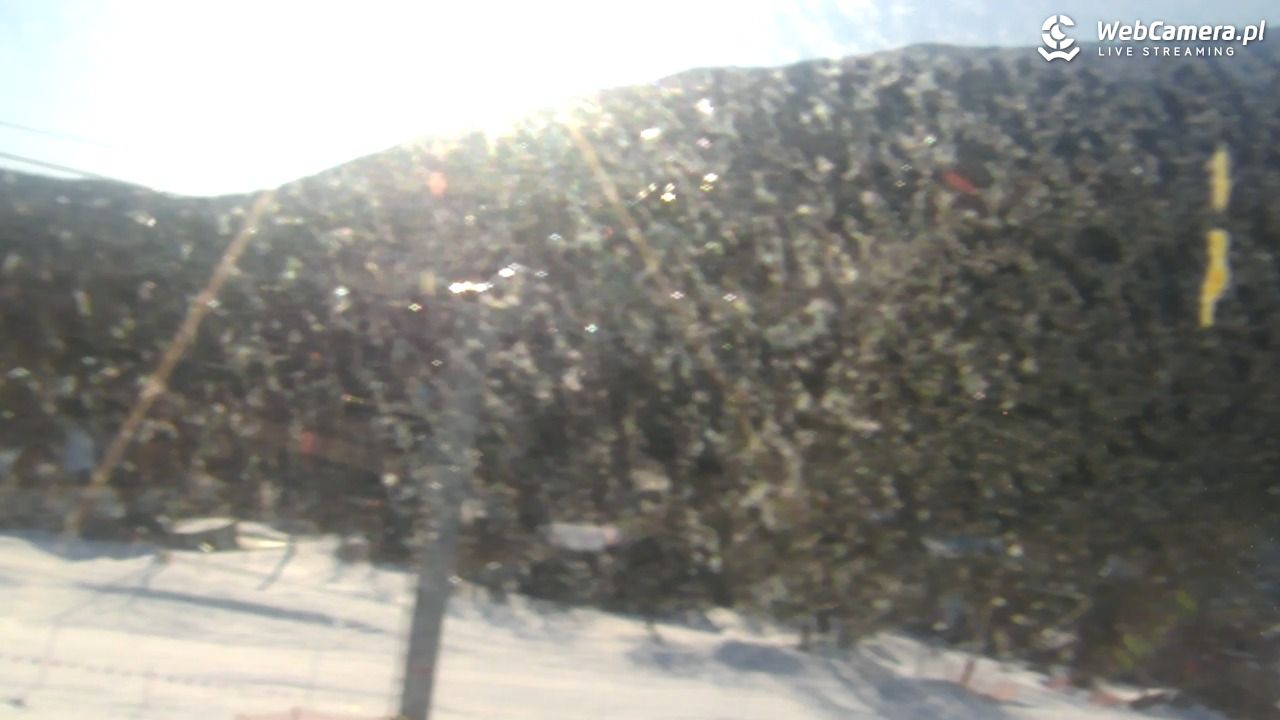 Zawoja - Mosorny Groń - Dolna Stacja - 17 styczeń 2026, 10:17