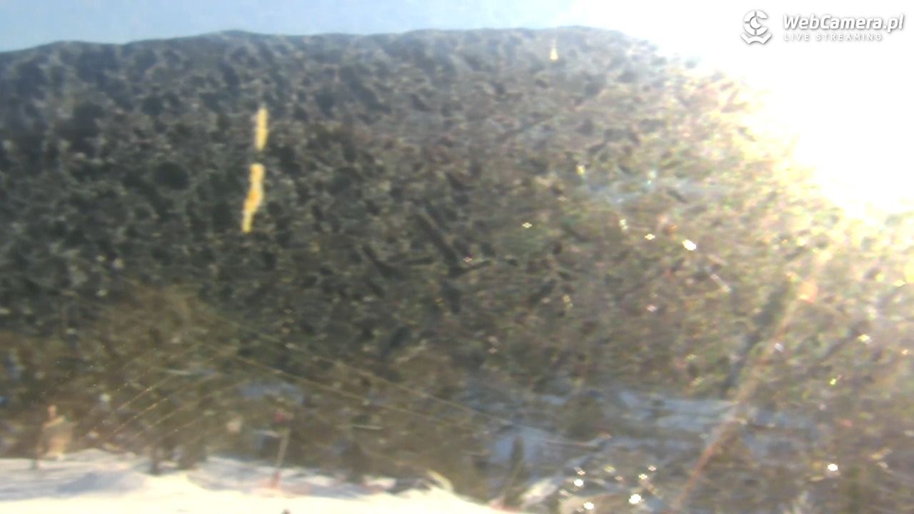 Zawoja - Mosorny Groń - Dolna Stacja - 18 styczeń 2026, 14:47