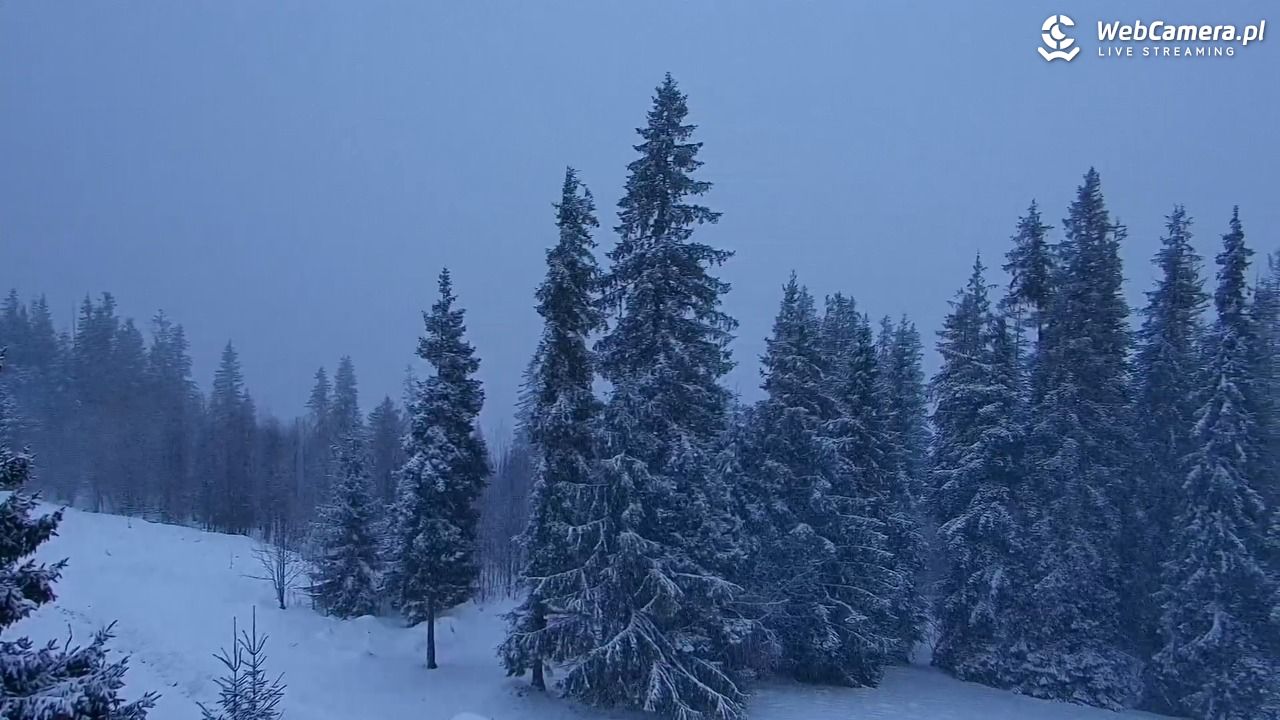 Butorowy Wierch - 26 listopad 2025, 07:55