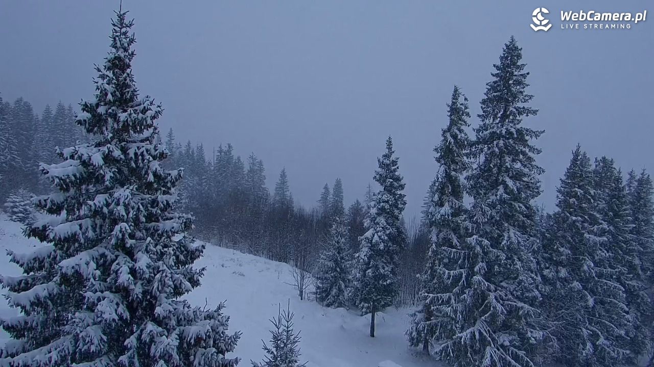 Butorowy Wierch - 21 listopad 2025, 10:42