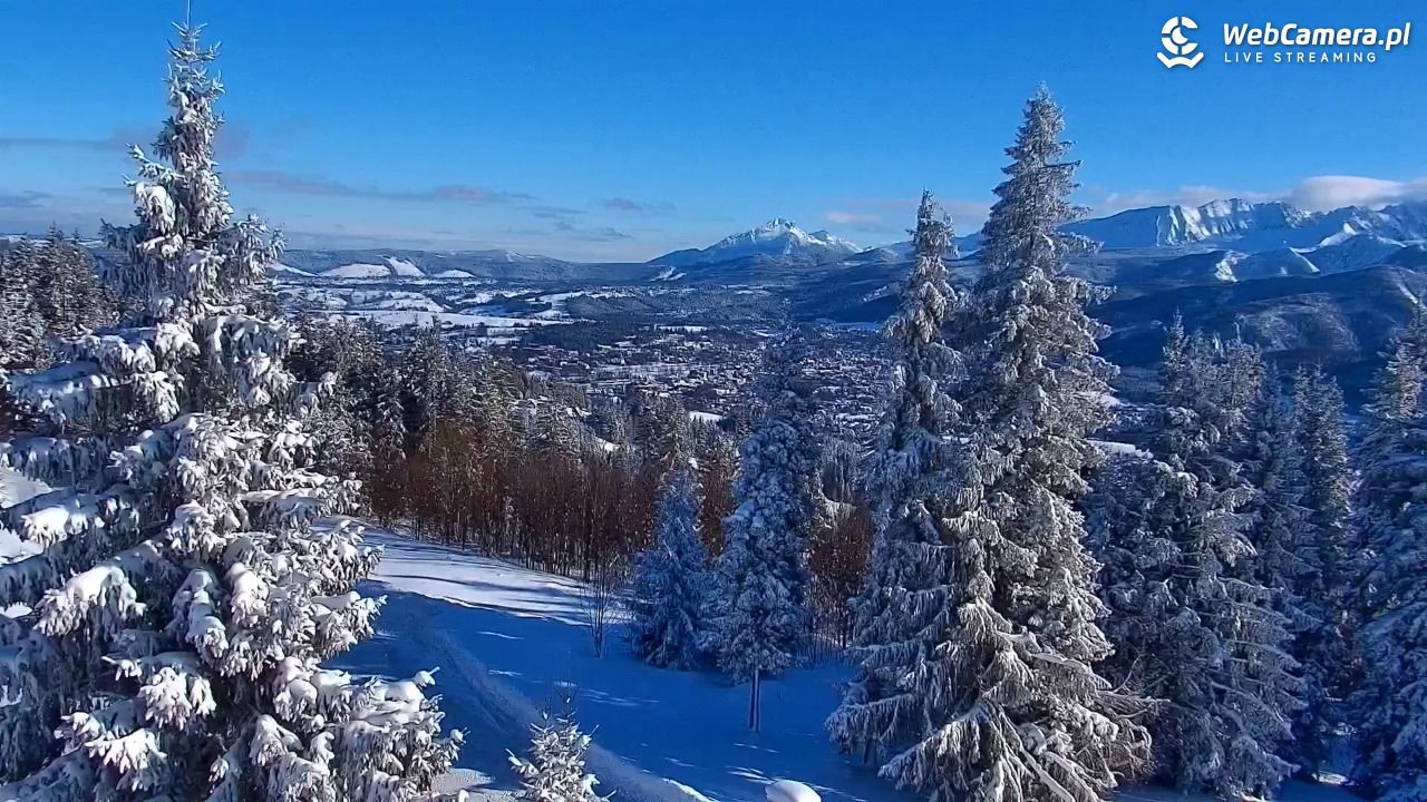Butorowy Wierch - 12 styczeń 2026, 12:36