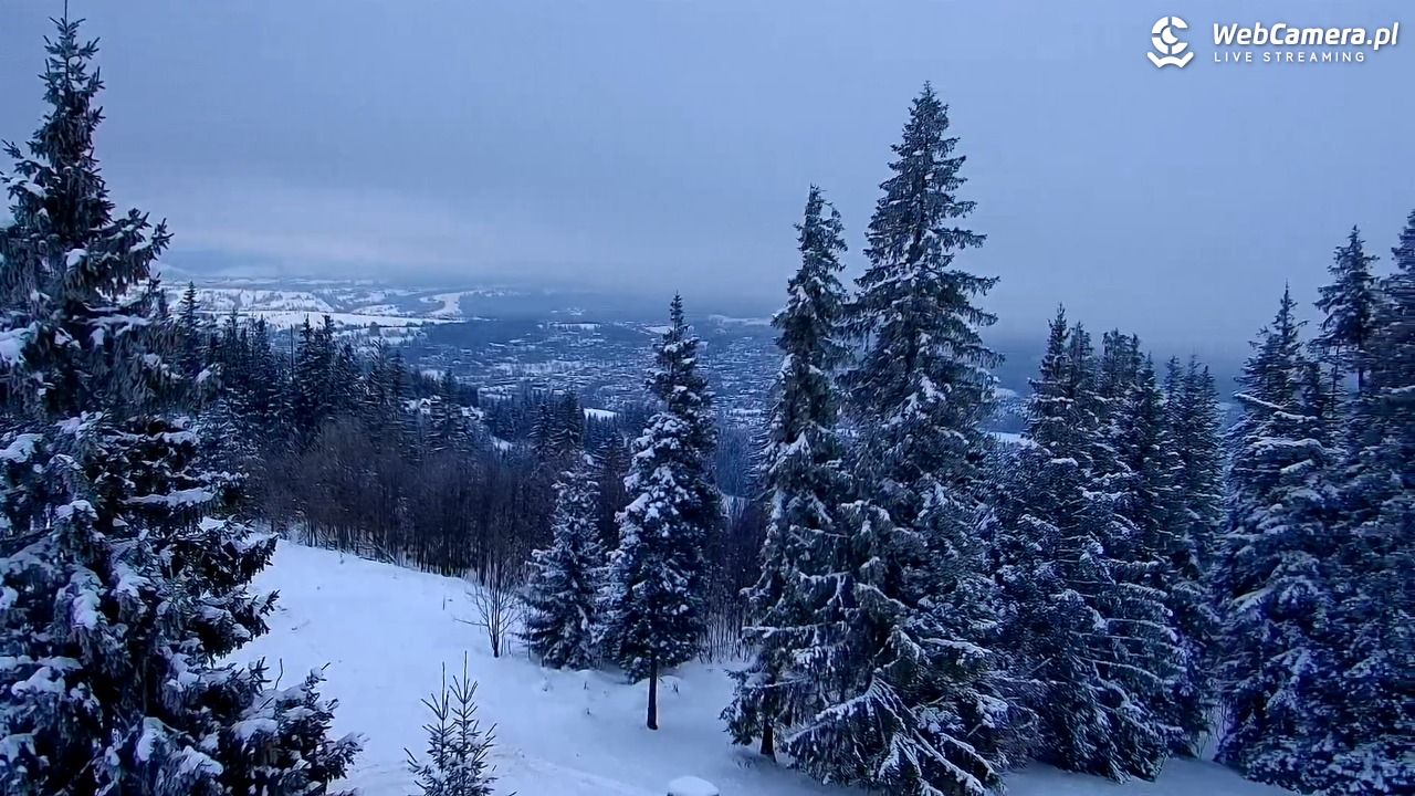 Butorowy Wierch - 10 styczeń 2026, 10:25